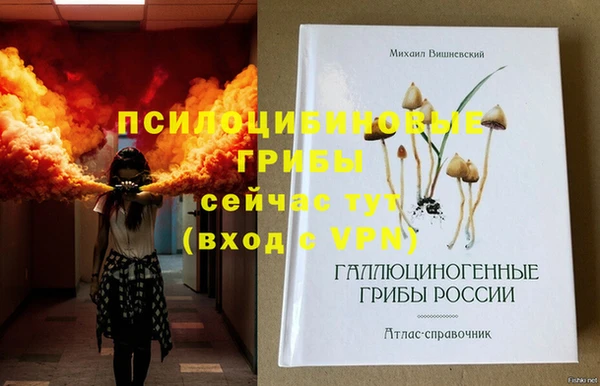 дурь Алзамай